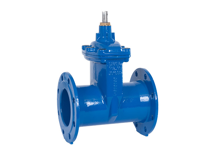 Gate valve DIN3352-F5