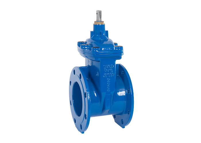 Gate valve DIN3352-F4